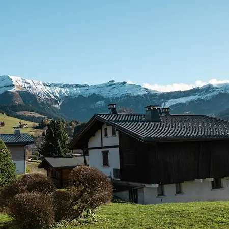 Flat Simba - - Mont D'arbois * Megeve