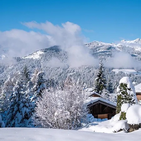 Apartment Flat Simba - - Mont D'arbois Megeve